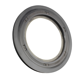 BE   70 x 100 x   5.2/6.5  REX   NBR 